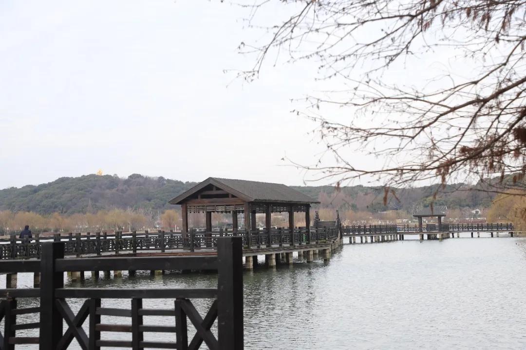 苏州旅游必打卡的10个景点,苏州适合周末放松的景区