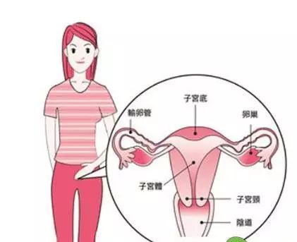 女人开始变老的9个细节,女人衰老子宫先衰
