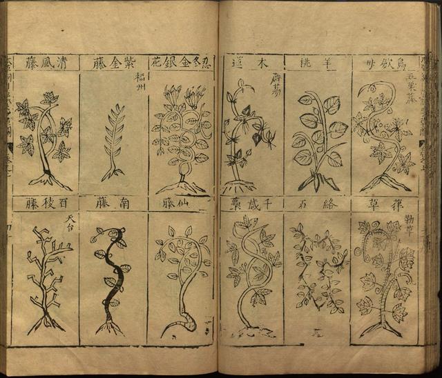 李时珍与本草纲目ppt课件,神农本草经正版李时珍书籍