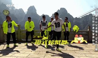 村花撒贝宁：我，43岁，*戏调**马云，芳心纵火犯