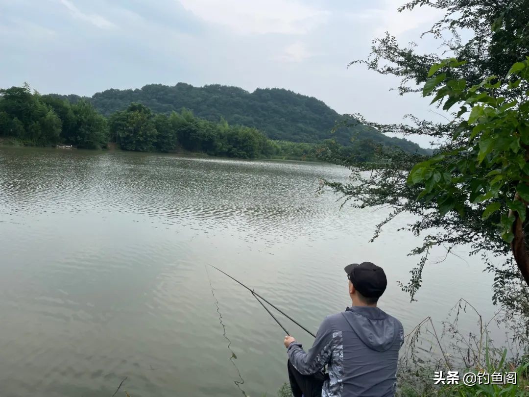 野钓中鱼最快的方法,野钓上鱼最快方法