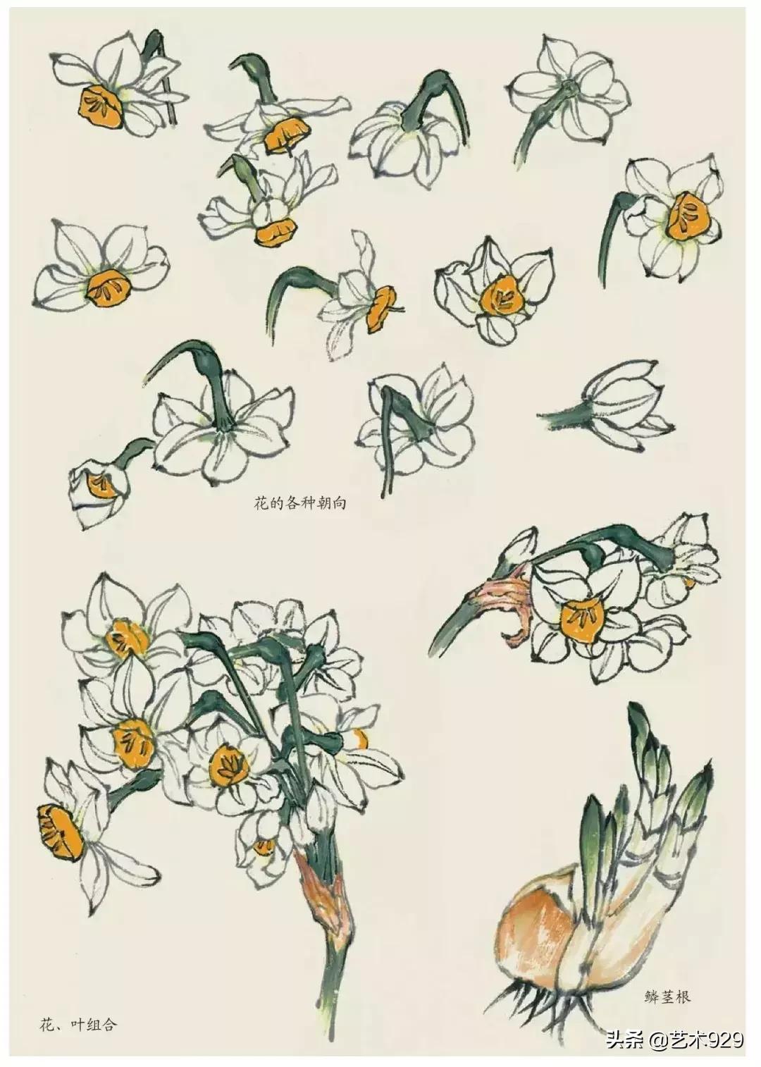 国画技法工笔花卉配色与花叶染法,国画欣赏精致的工笔彩色花卉