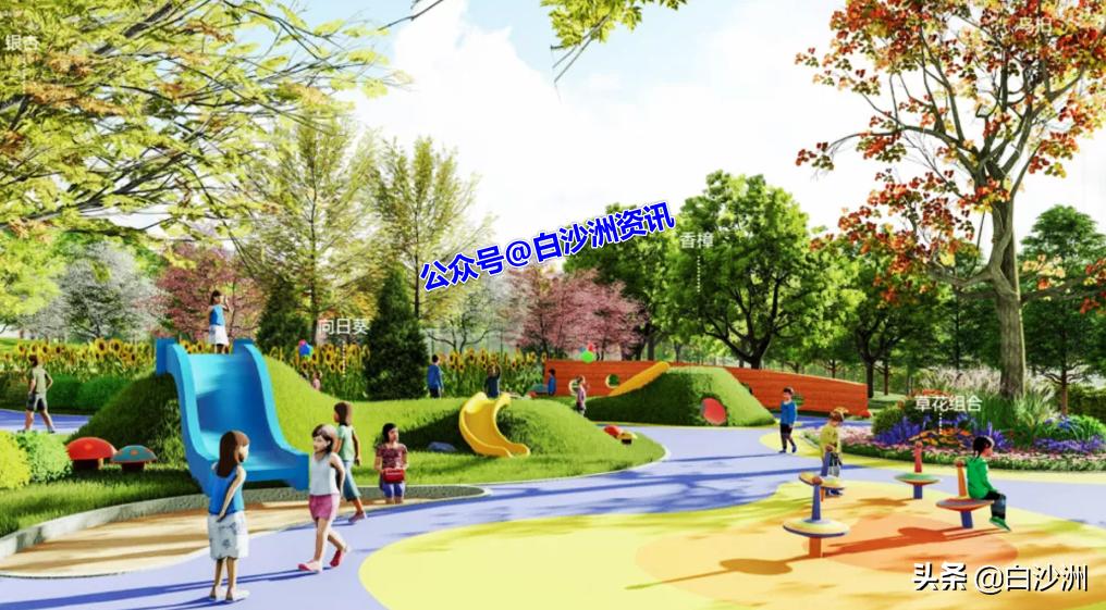 洪山白沙洲体育公园,白沙洲建体育文化公园