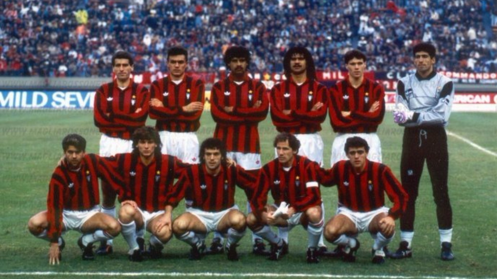 远古吹（二）：全能战士——“黑天鹅”