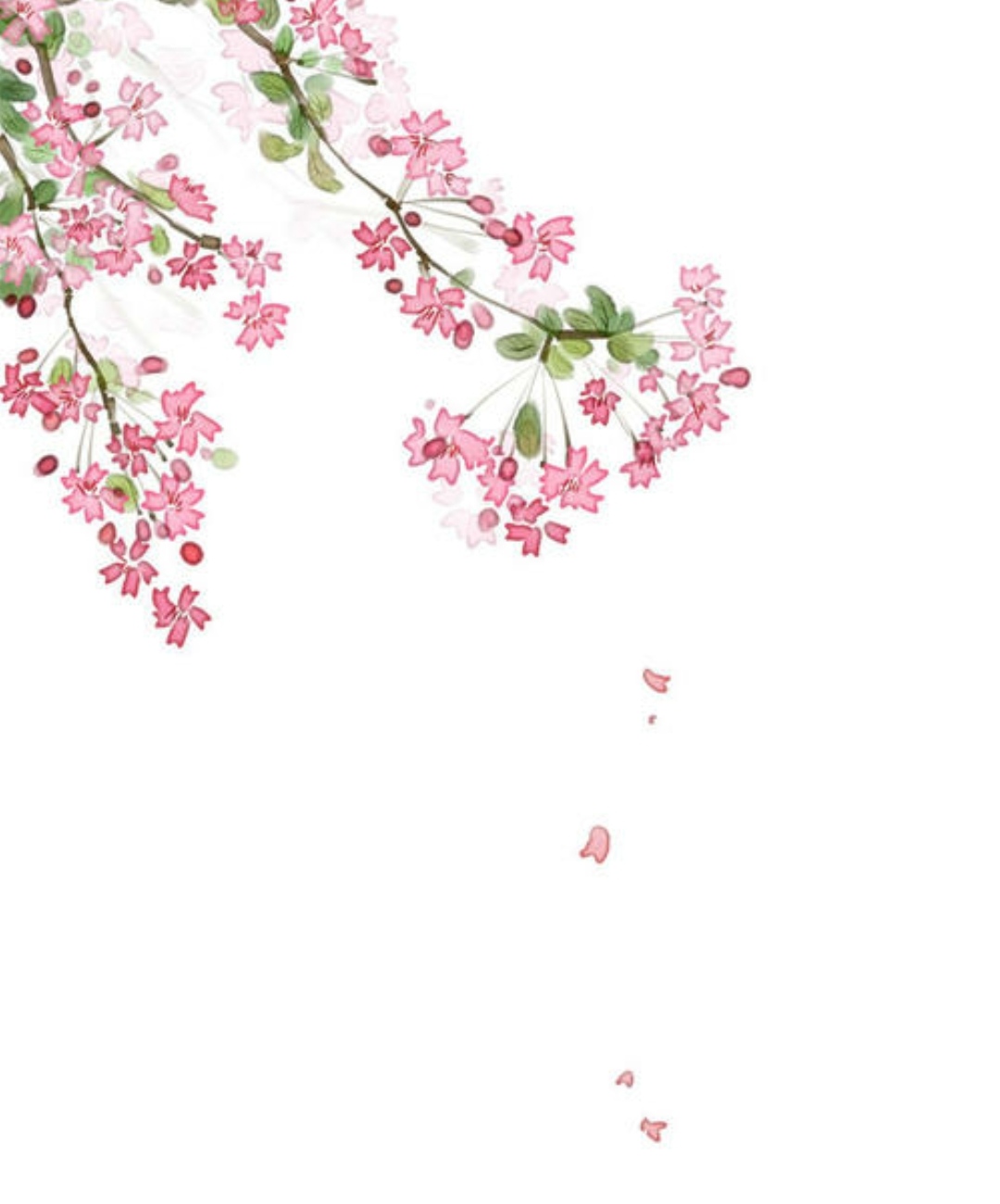 落花时节又逢君的上一句是什么诗,落花时节又逢君的前一句古诗