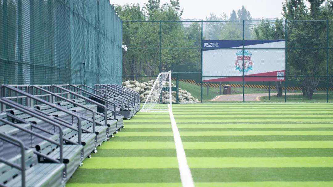 西安花海小森林,西安周边适合郊游野餐的地方