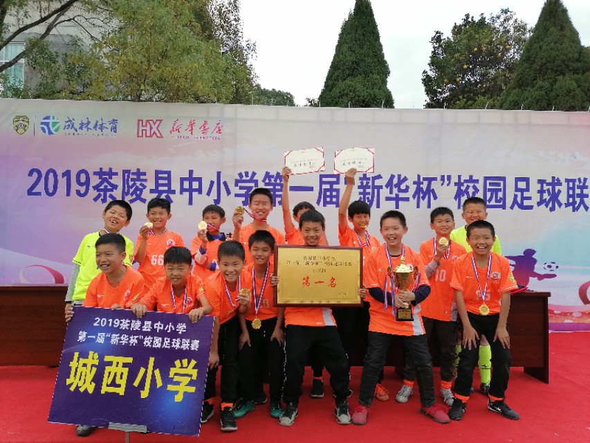 茶陵县足球联赛,茶陵城西小学足球赛