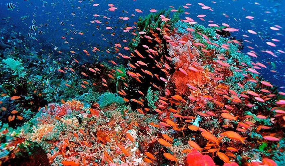 印尼最美海岛,印尼顶级海岛