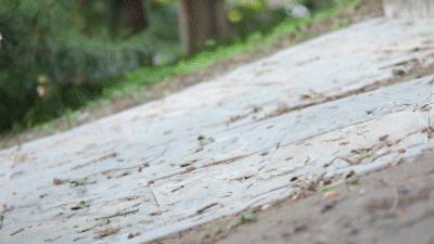 一双鞋装上28片“刀锋”弹簧，缓解脚底压力，跑步和走路一样轻松