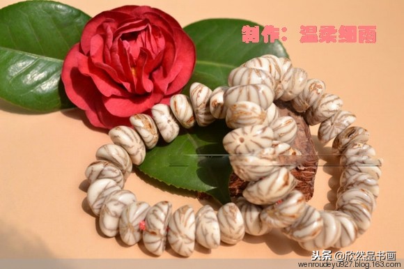 印度菩提子的种类,海南菩提子的种类