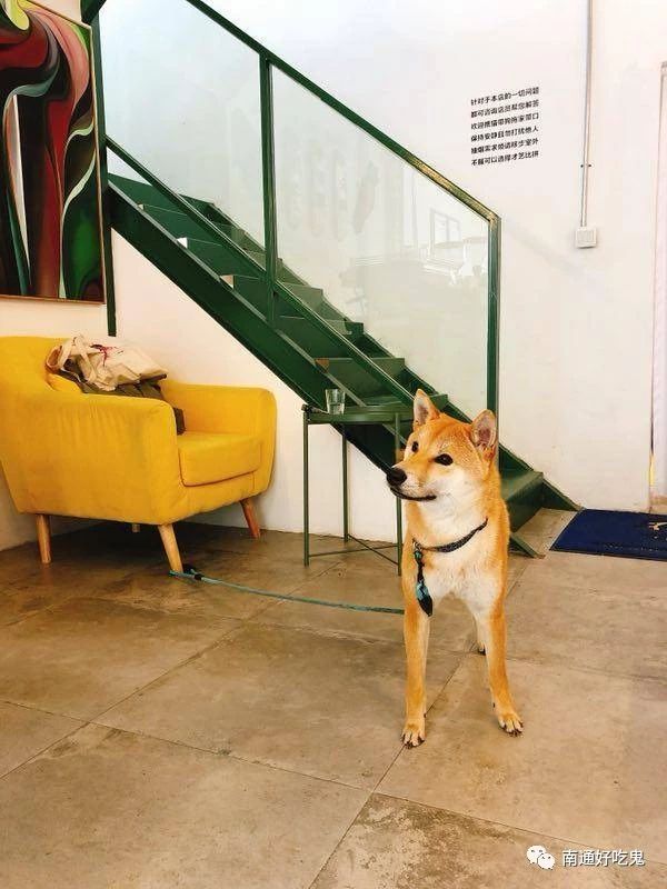 南通人过去一年最爱去的这36家餐厅，都在这儿了