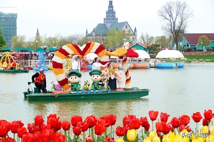芬芳之人方能遇到芬芳之心，郁金香开成了荷兰花海