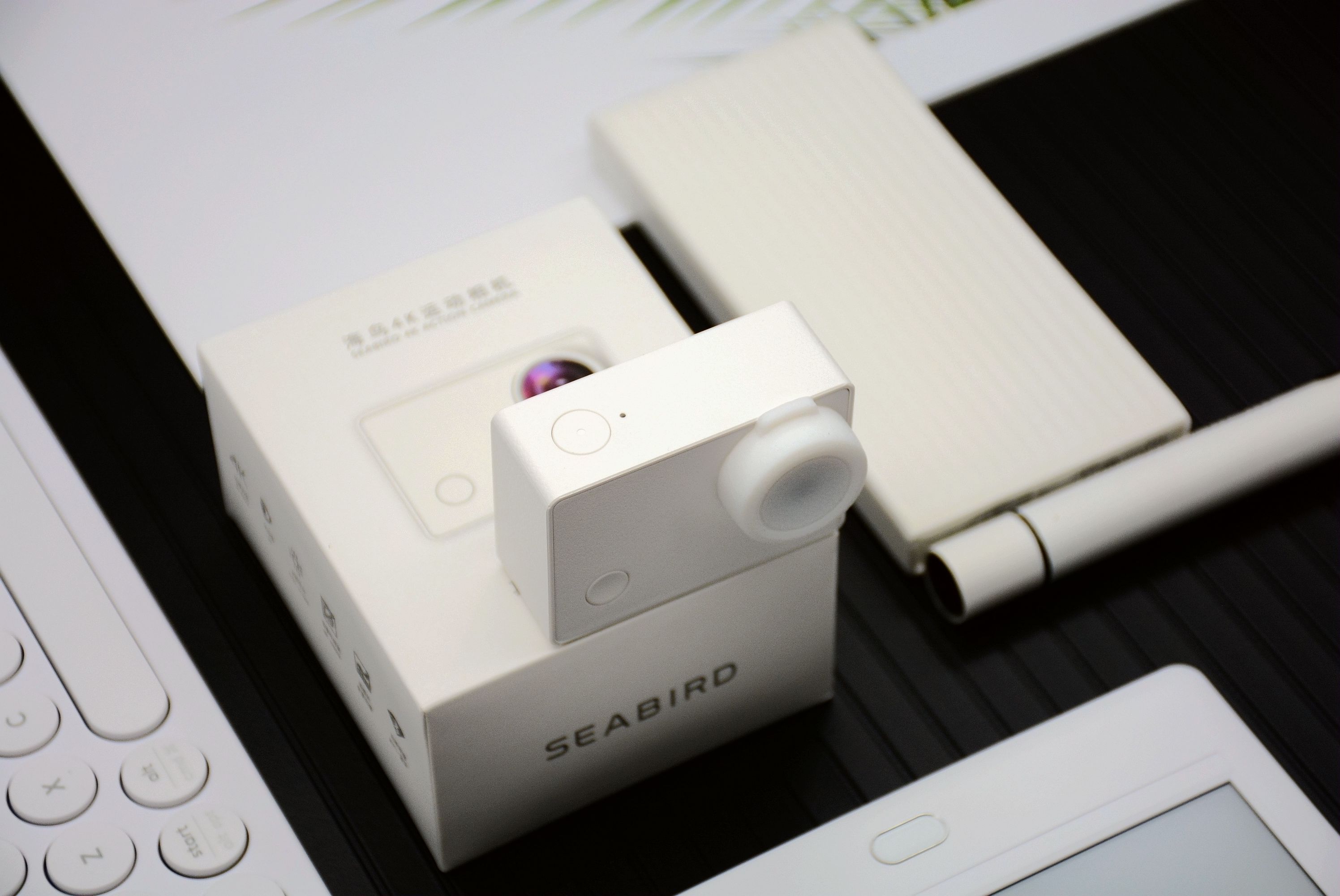 水下摄影4k,海鸟4k运动相机深度评测