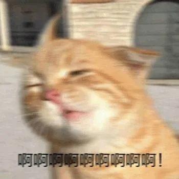 免费吃喝玩乐？爱奇艺最新策划，带你“桃单”啦