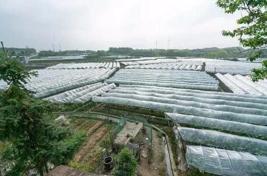 农业创业项目经营模式,农业创业必须看的10个技巧