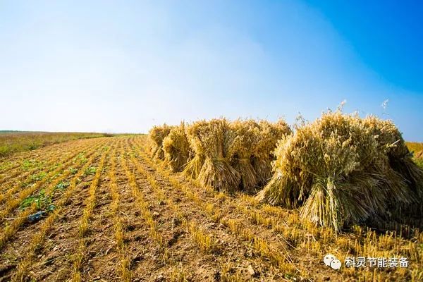 2019谷物烘干机补贴,谷物烘干机国家补贴政策