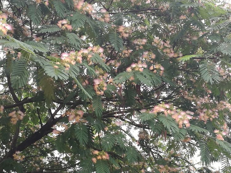 环湖，让我穿行在大冶的历史与当今之间——大冶尹家湖徒步纪事