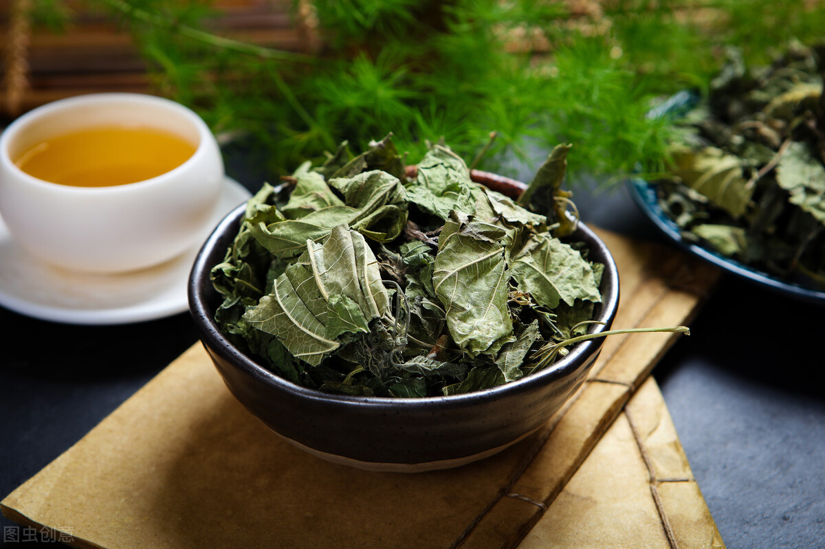 桑树发展前景怎么样,桑树种植前景和利润