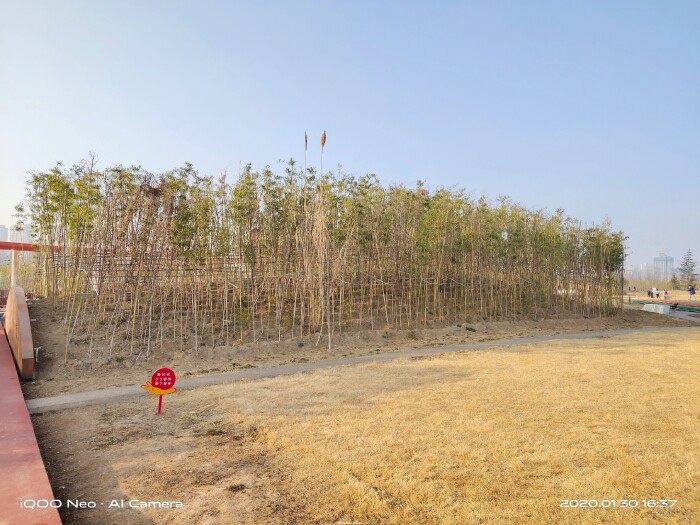 iqooneo855打王者有哪些功能,iqooneo855和竞速版的区别在哪