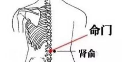 子宫肌瘤月经不干净中药治疗,中药调理子宫肌瘤月经不调