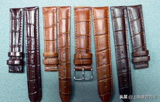 如何分别鳄鱼皮,鳄鱼皮使用方法