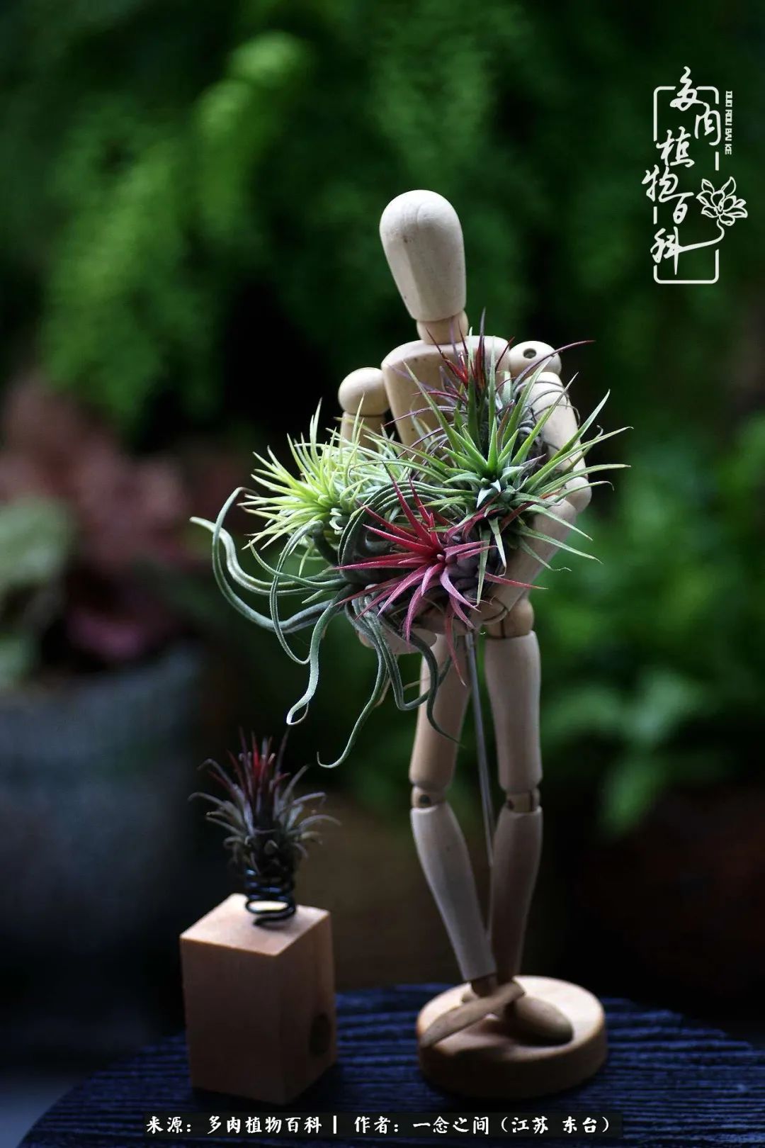 遇见花开蓝莓糖,遇见花开蔬菜沙拉酱