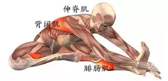 女人一定要学会保养身体,女人要学会保护身体