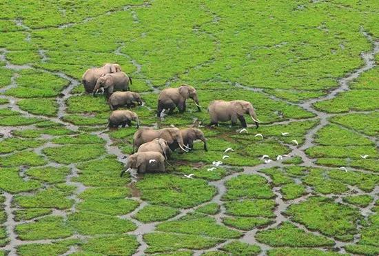 云南最美的旅游景点排名,大美云南11个县域旅游地