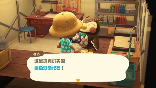 动物之森新手开局,动物之森新手入门教程