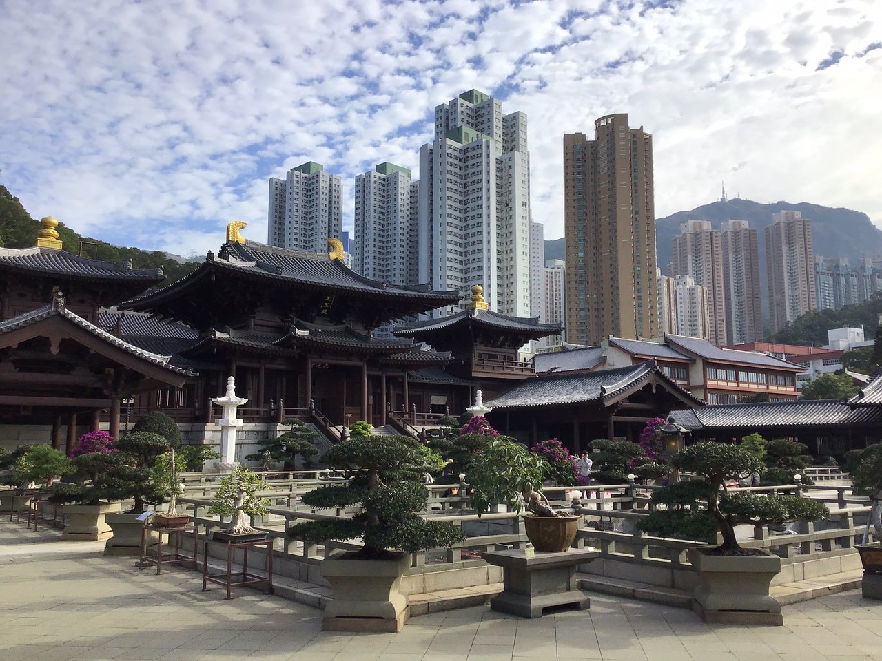 香港志莲净苑地图,香港志莲净苑好玩吗