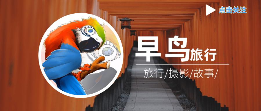 航空公司避坑指南,各航司随心飞