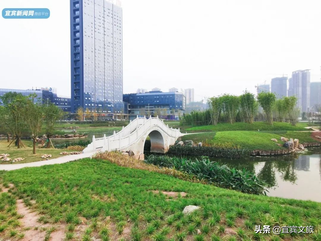 宜宾自然湿地公园,宜宾最漂亮的公园
