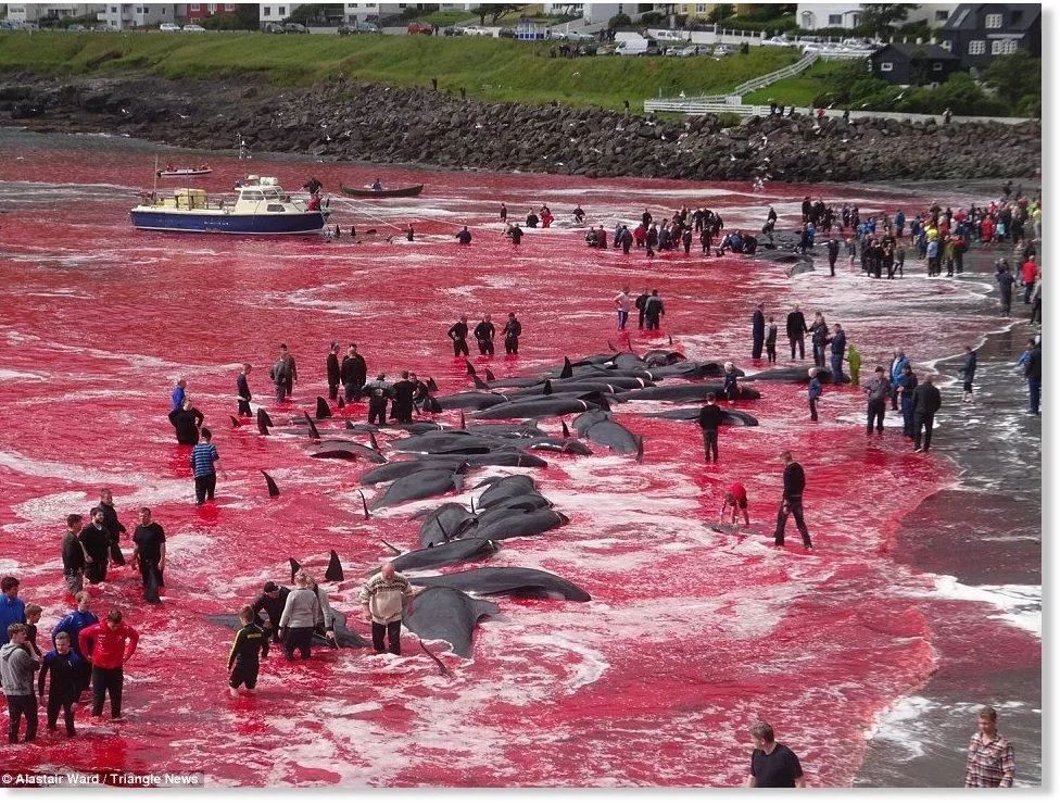 欧洲最南端的天涯海角,欧洲哪个国家中国人很少去过