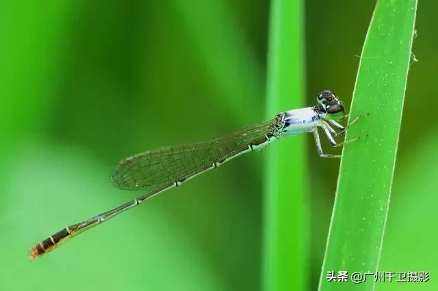 单反相机拍摄黄昏怎么设置参数,单反拍照实战各种参数的设置