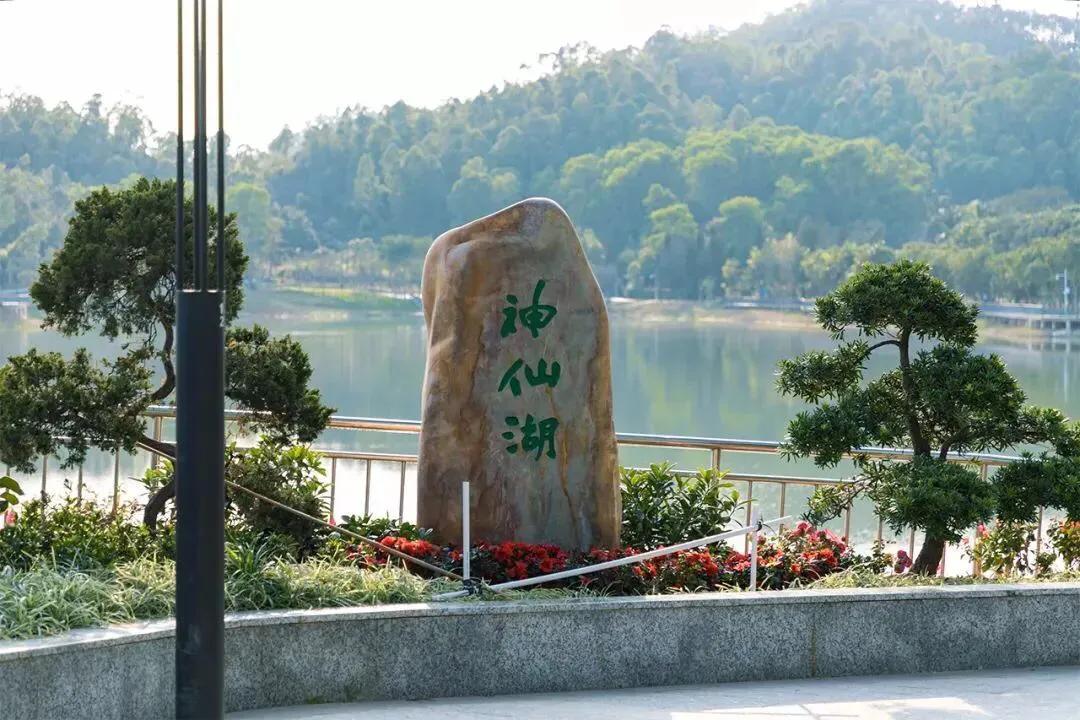 深圳免费公园哪里最好啊,深圳十大免费公园景点大全