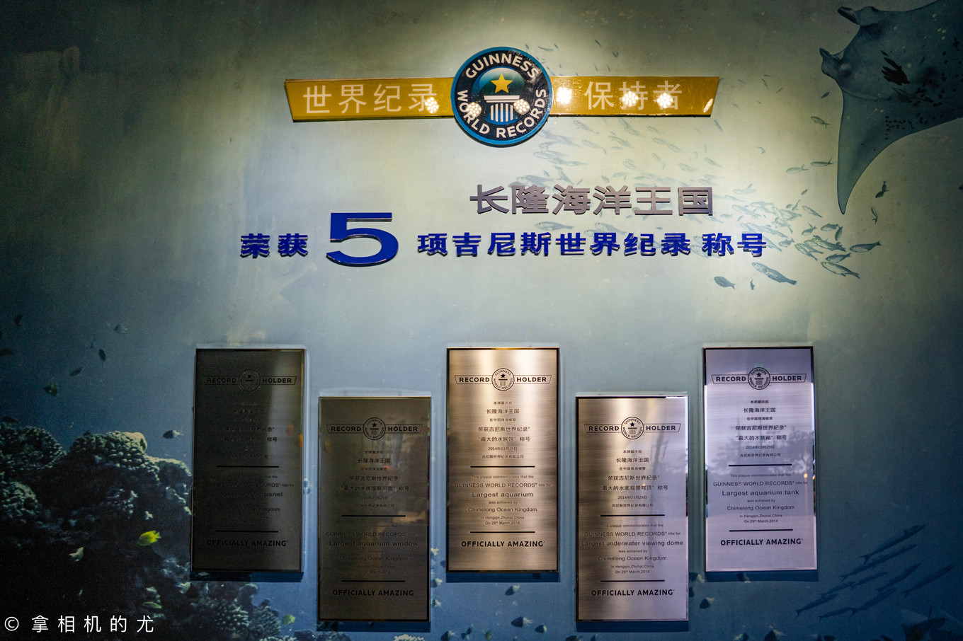 珠海横琴长隆海洋王国游玩全攻略,珠海长隆海洋王国跟香港海洋公园