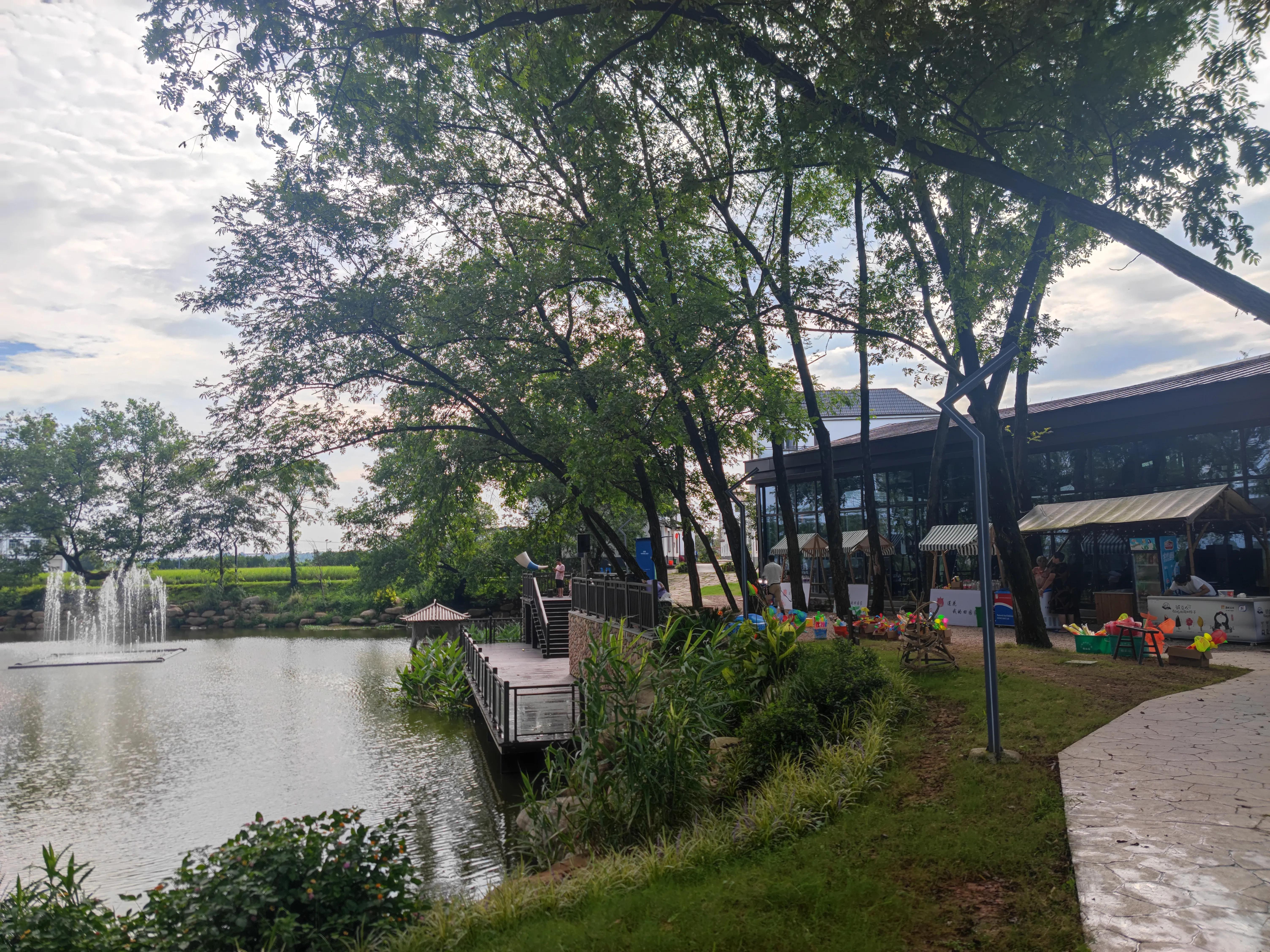 莲花国际未来社区湿地公园潜水,莲花国际未来社区湿地公园优惠