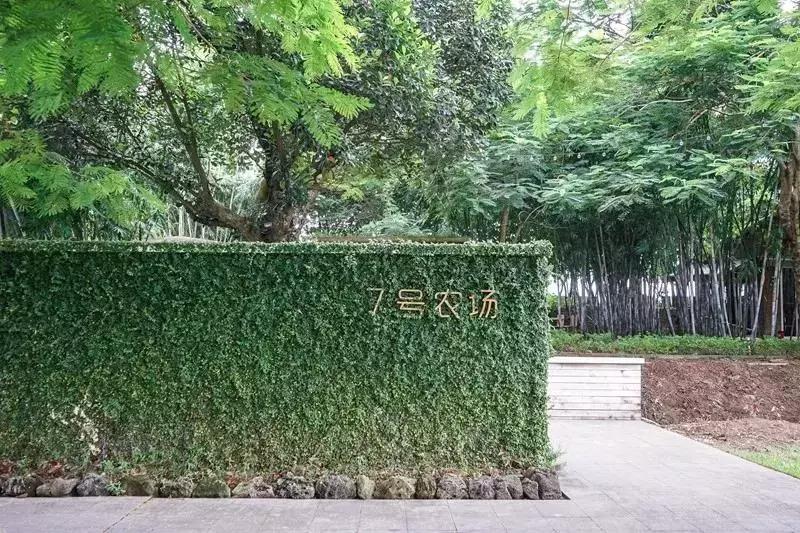 顺德适合10-15人集会的餐厅,顺德聚餐推荐餐厅10人以上