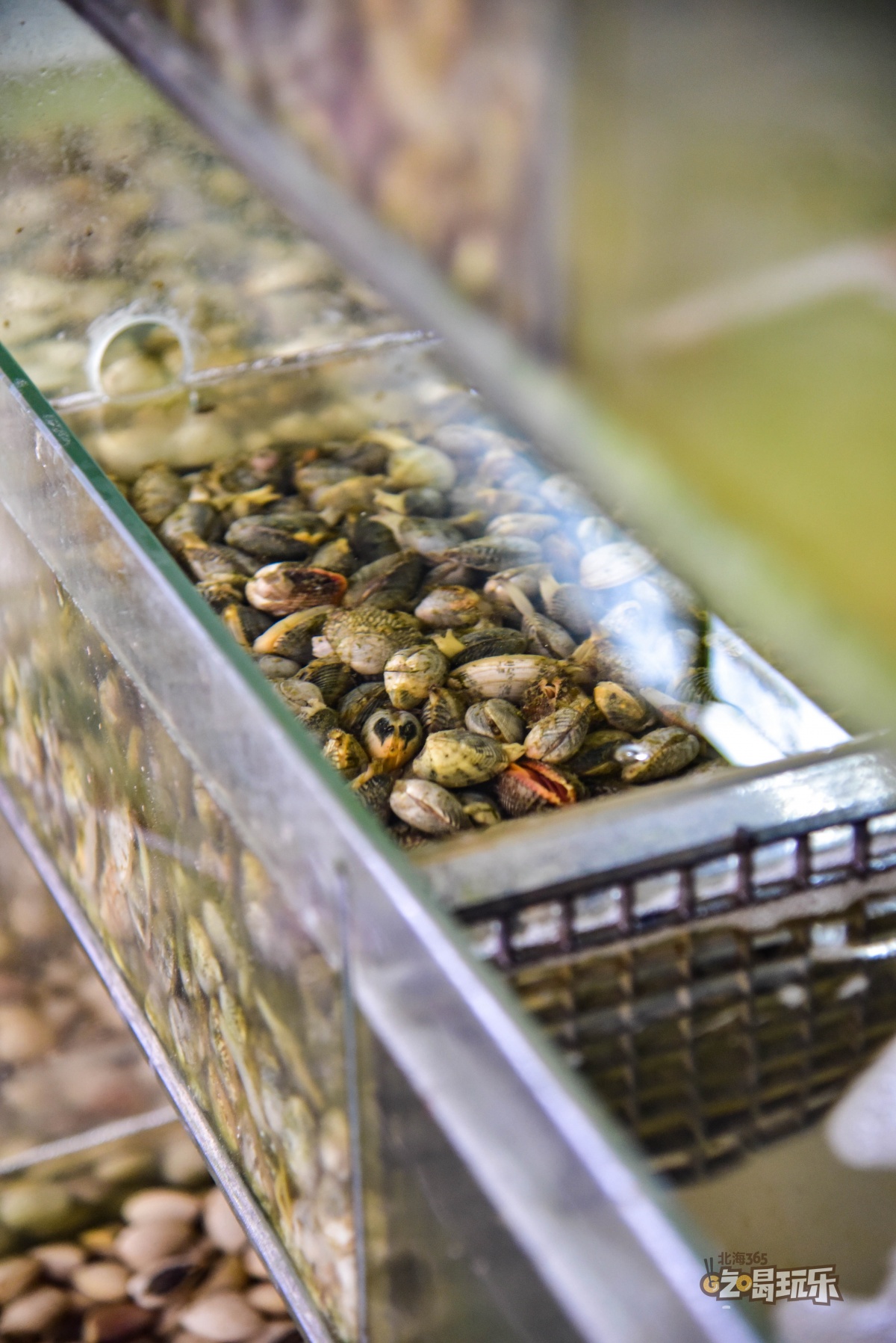 带海鲜池的餐厅,海鲜汤粉北海
