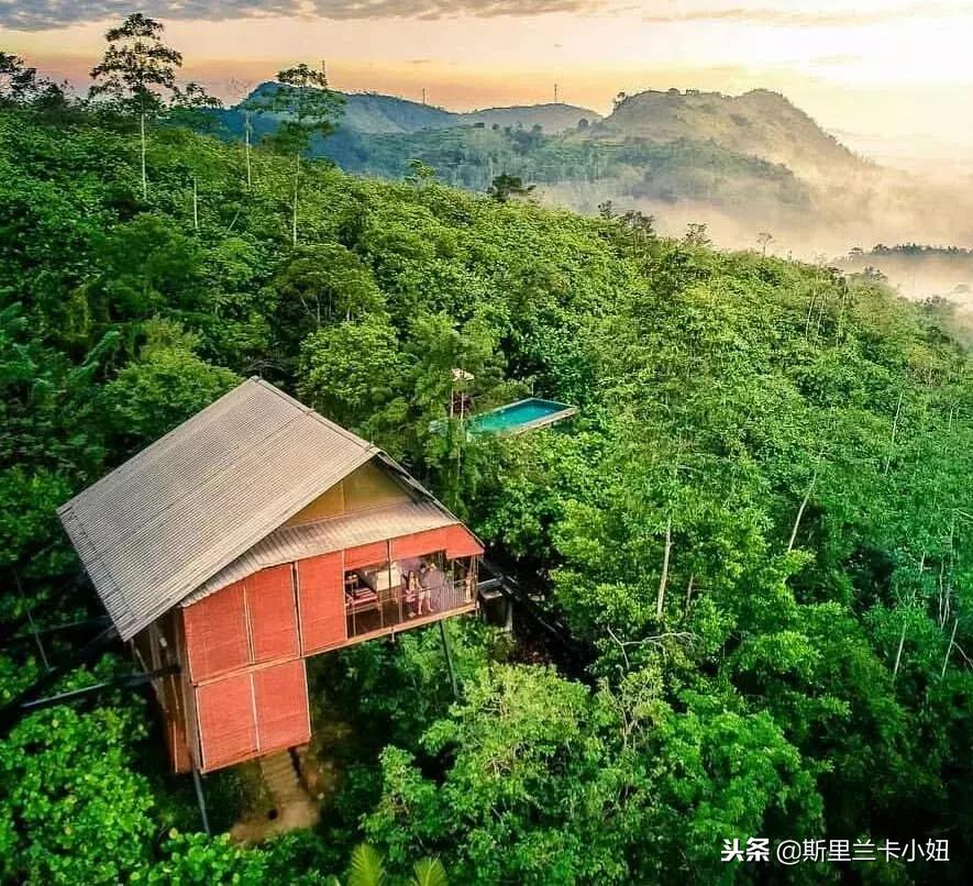 一次只接待一个顾客,一次只接待一个人的酒店