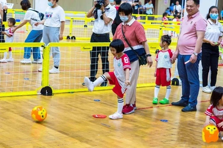 派迪茵训练器,派迪茵射门训练器