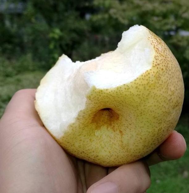 若家境允许，建议吃这5大水果，不吃垃圾食品，大人孩子都喜欢