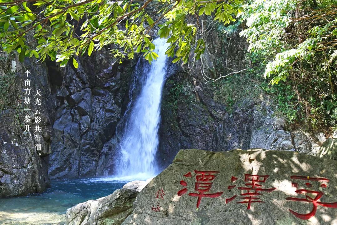 宁波避暑耍水胜地,宁波森林氧吧景区