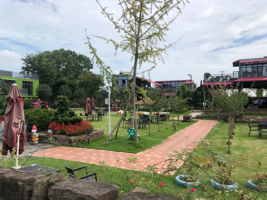 成都上央视,荣登央视cctv1