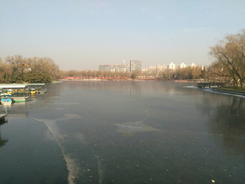 畸形的爱,畸形的爱情电影