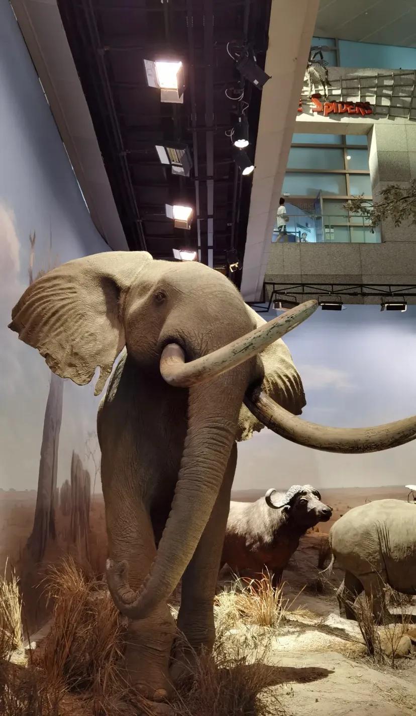 上海科技馆官网,上海科技馆球幕影院