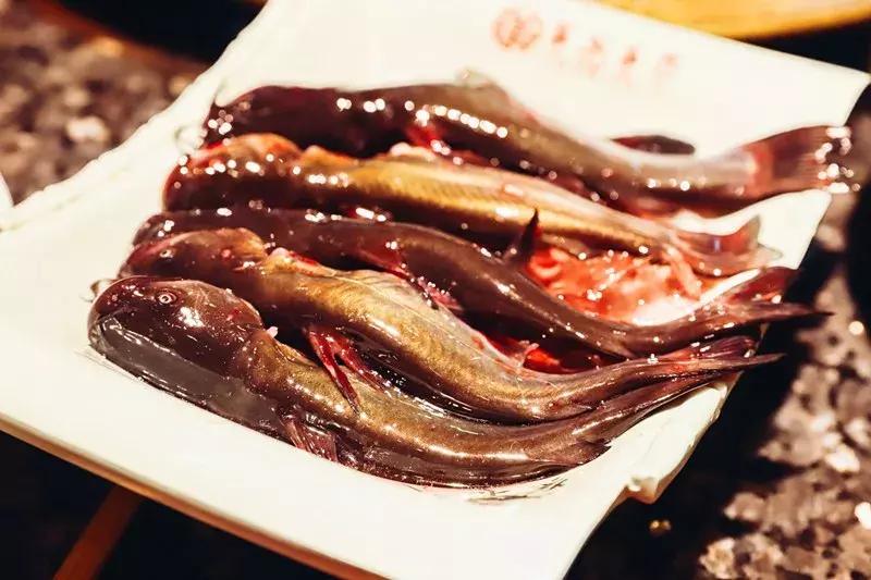 春熙路不到100元美食推荐,双人餐50元以下春熙路