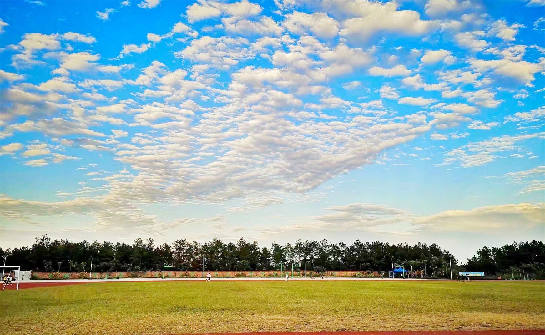四川幼儿师范高等专科学校西校区,四川幼儿师范高等专科小学教育