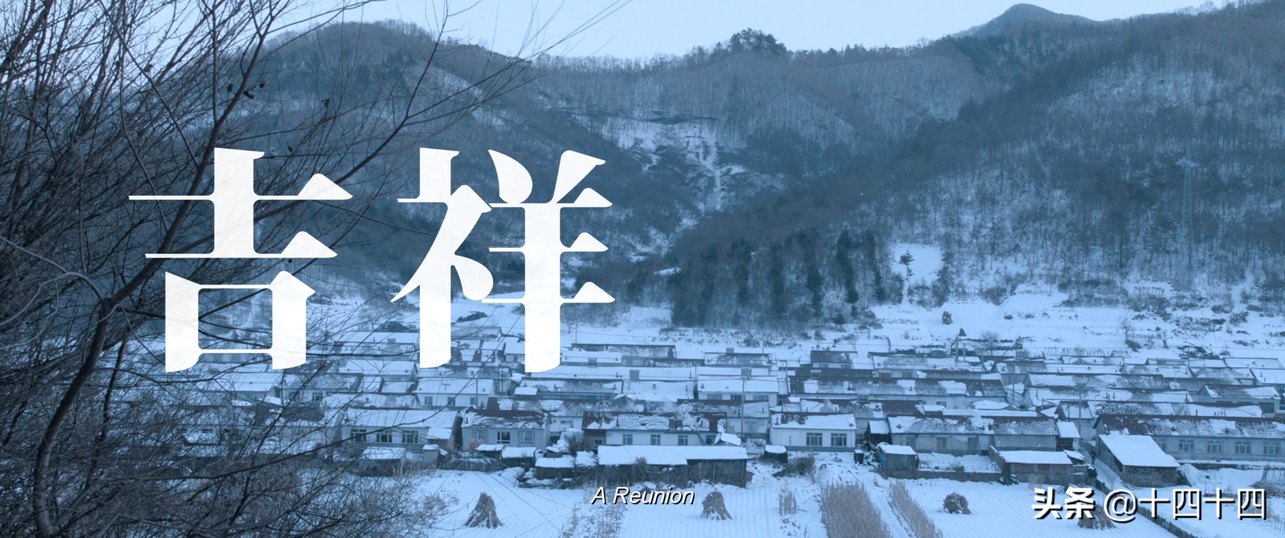 网剧鼻祖，烂片导演，在被千万人唾弃后，他又重返起点