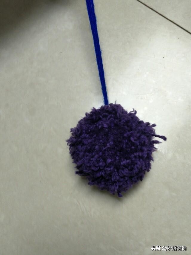 能让狗狗一直运动的玩具,狗狗不用花钱的玩具